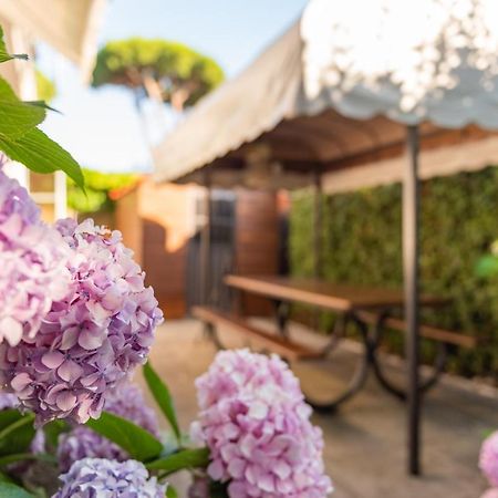 Apartment Holiday Versilia Camaiore Zewnętrze zdjęcie