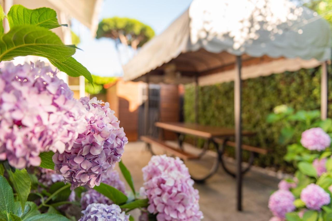 Apartment Holiday Versilia Camaiore Zewnętrze zdjęcie