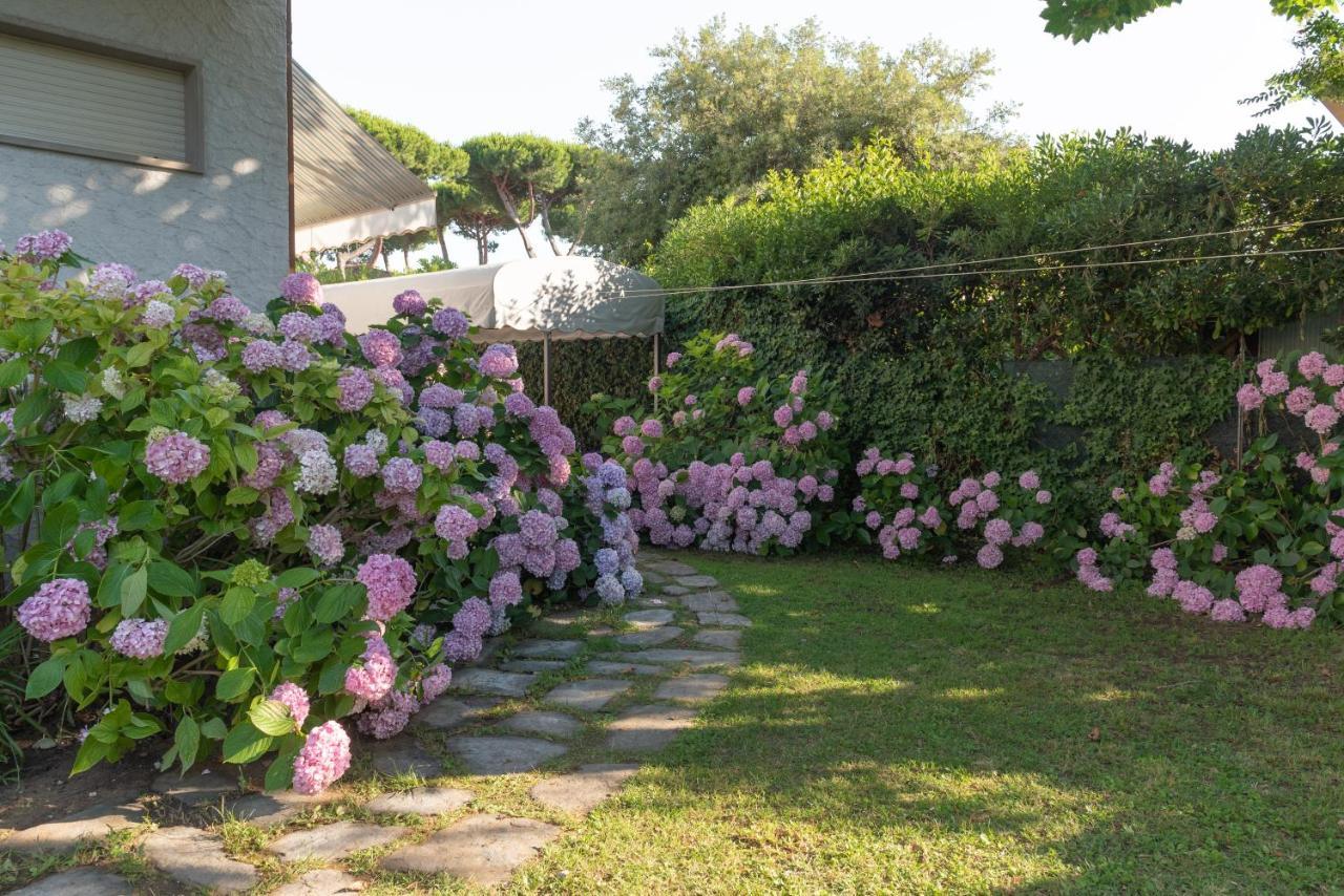 Apartment Holiday Versilia Camaiore Zewnętrze zdjęcie